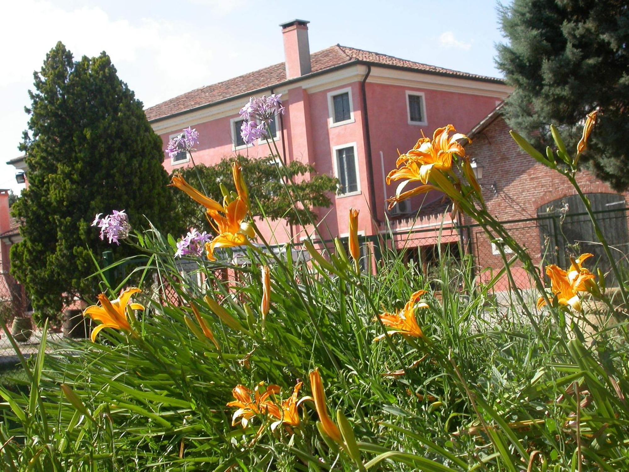 Bordeghina B&B In Farmhouse Pontecchio Polesine エクステリア 写真