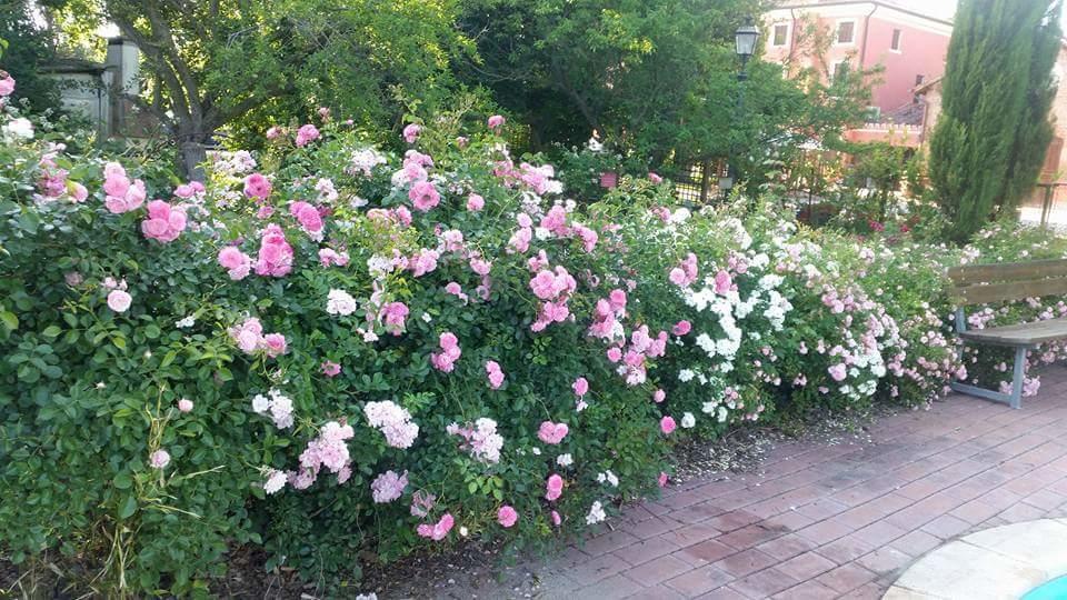 Bordeghina B&B In Farmhouse Pontecchio Polesine エクステリア 写真